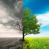 Mothers, children: Climate change increasingly triggering mental health crisis