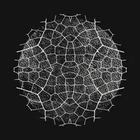 Project Glasswing: An Initial Update