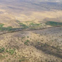 A new tectonic plate boundary could be forming in southern Africa