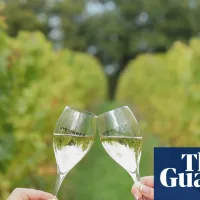 ‘A world-class producer’: English wines toast record gold medal haul