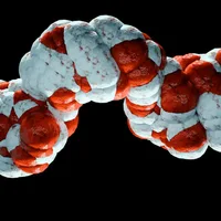 STAT+: Kailera’s own ‘triple-G’ drug also looks very powerful