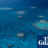 Shark attack: man dies on Great Barrier Reef in far north Queensland
